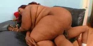 Xl Video Sex